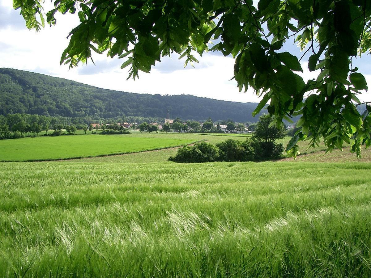 Faber Mit Grossem Suedbalkon * Essing